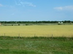 30089CIMG0029.JPG