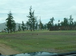 23942P1050044.JPG