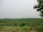 33014CIMG2173.JPG