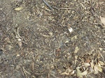 48747CIMG5084.JPG