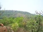 1727820042008(61).JPG