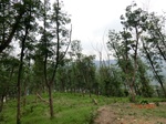53674CIMG7057.JPG