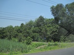 34535IMG_5518.JPG