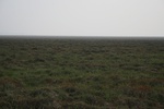 4204IMG_8842.JPG