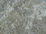 22469P1010622.JPG