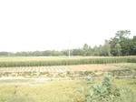 21891DSC08486.JPG