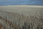 51592AGR_WA_040_L3.jpg