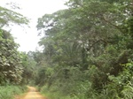 48691CIMG5028.JPG