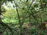 50959CIMG0837.JPG