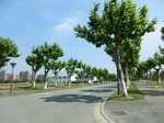 52036CIMG1109.JPG