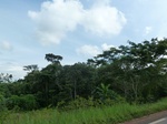 25580P1010993.JPG