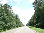 32479p141.jpg