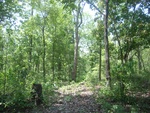 28267RIMG0267.JPG