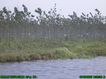 4642007-08-05_09-35-36_tag.jpg