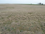 29229LAHO20110411E.JPG
