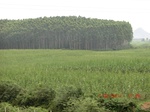 34784CIMG2615.JPG
