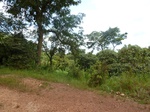 19792P1010641.JPG