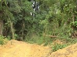 47244CIMG3581.JPG