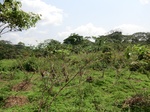 51209CIMG0788.JPG