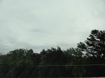 35287DSC02492.JPG