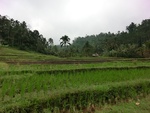 30765CIMG0605.JPG