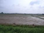 28229RIMG0228.JPG