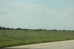2024-06-17_22-04-59_80962F97-E8F0-4EA2-A57D-BEFBF6C5EC07.jpeg