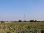 56371CIMG7924.JPG