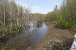 294IMG_4190.JPG