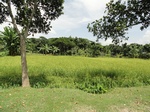 22127DSC00369.JPG