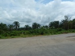25756P1020175.JPG