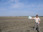 10246042-Irrigated (Surface water) winter wheat-b.jpg