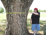 8724IMG_3891.JPG
