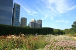 57844IMG_9123.JPG