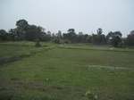 34491IMG_5474.JPG
