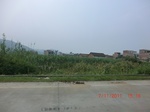 32699CIMG1830.JPG