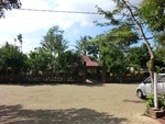 31454CIMG1318.JPG