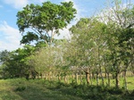 31960IMG_5639.JPG