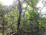 50207DSC02006.JPG