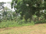 49500CIMG5837.JPG