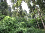 13882IMG_4162.JPG