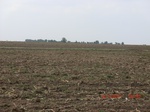 29491CIMG0796.JPG