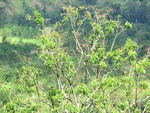 31493CIMG1359.JPG