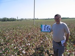 7998016-irrri-cotton-sw-1a.jpg