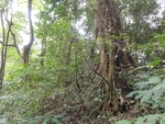50208DSC02007.JPG