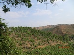 53474CIMG6811.JPG