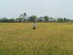 536202052008(38).JPG