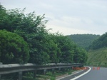 34735CIMG2563.JPG