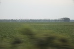 2024-08-05_16-09-03_24291852-426D-49BC-B4E7-109A3A417FC9.jpeg