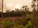 54848Berau (137).JPG